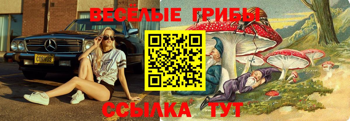 Отрадный  Галлюциногенные грибы GOLDEN TEACHER  Вход с VPN 