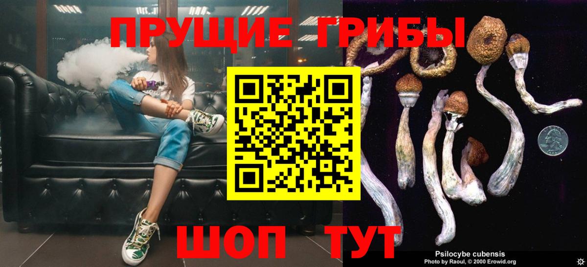 Псилоцибиновые грибы Psilocybine cubensis Отрадный